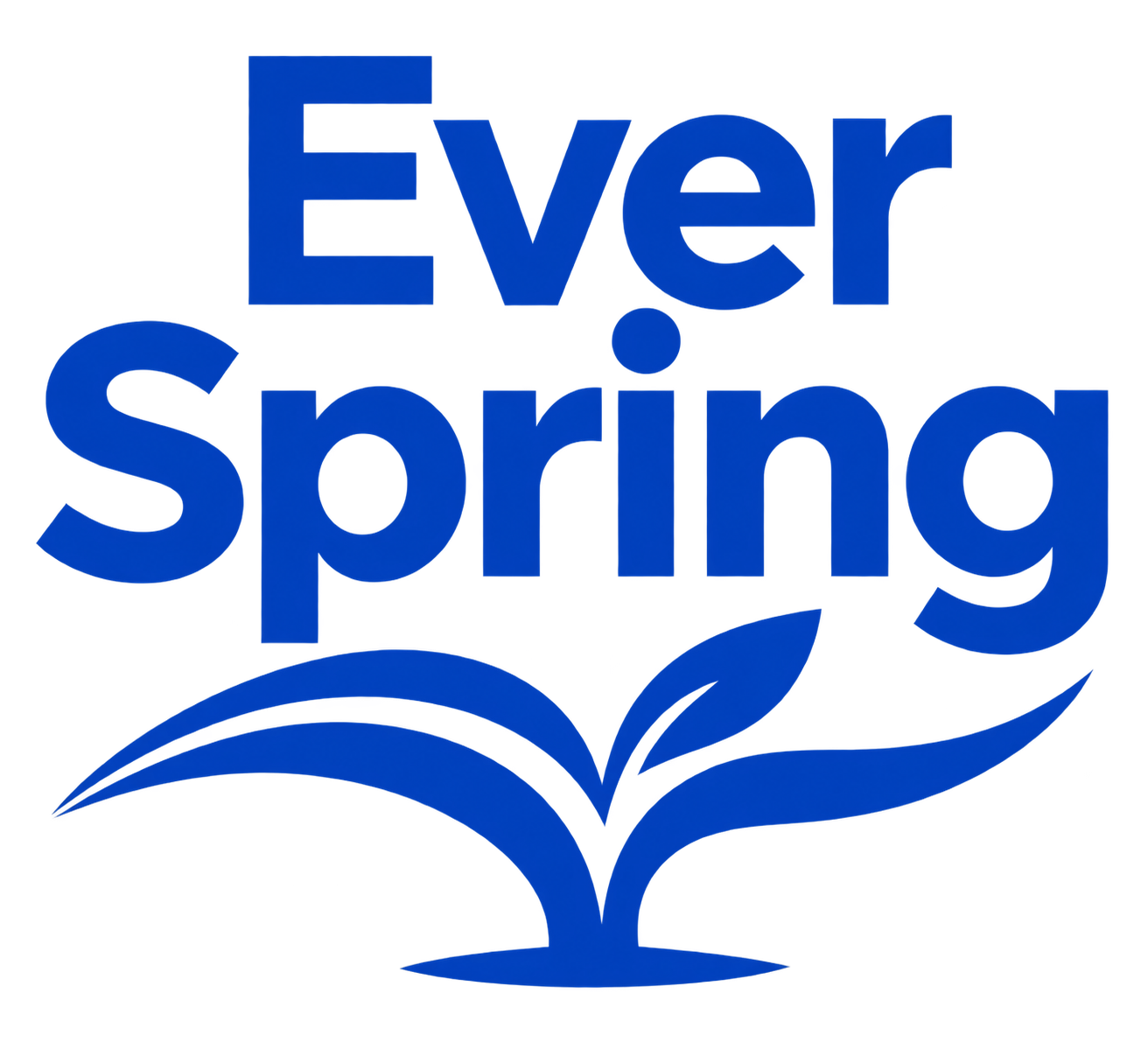 Everspring